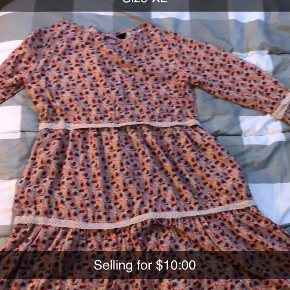 $10.00
